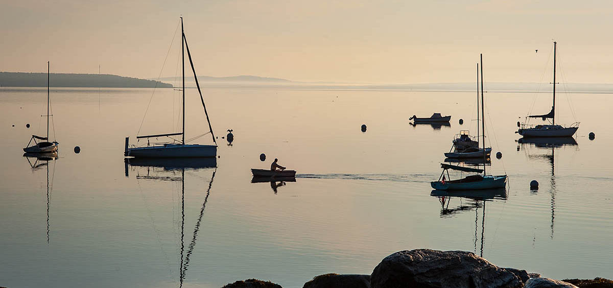 solitary sailor rows to his sailboat in the early morning