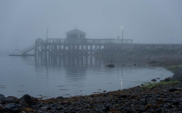 Bayside dock softened by fog early in the morning