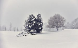 Snow blankets the Northport Golf Course