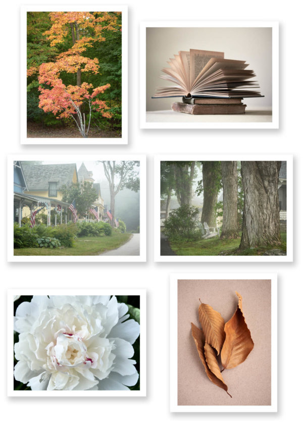 grid of images included in note card volume 3