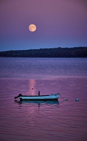 Moonshine