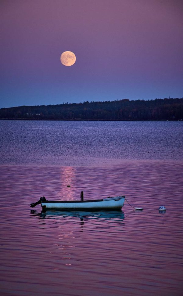 Moonshine