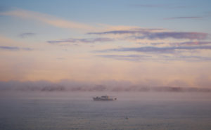 Mystic Morning