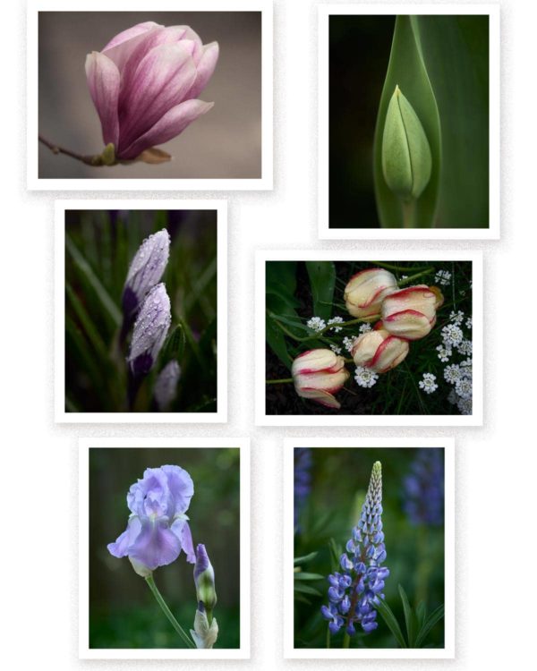 Note Cards, volume 4 - Image 2