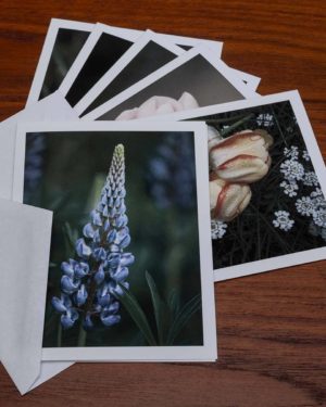 Note Cards, volume 4