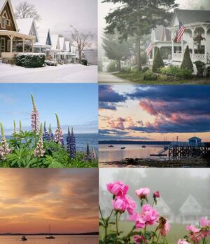 Calendar images January through June